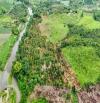 bán đất có thổ cư 9 hecta giáp Sông hơn 400m, sẵn vườn Bưởi, Sầu Riêng giá chỉ 210k/m2